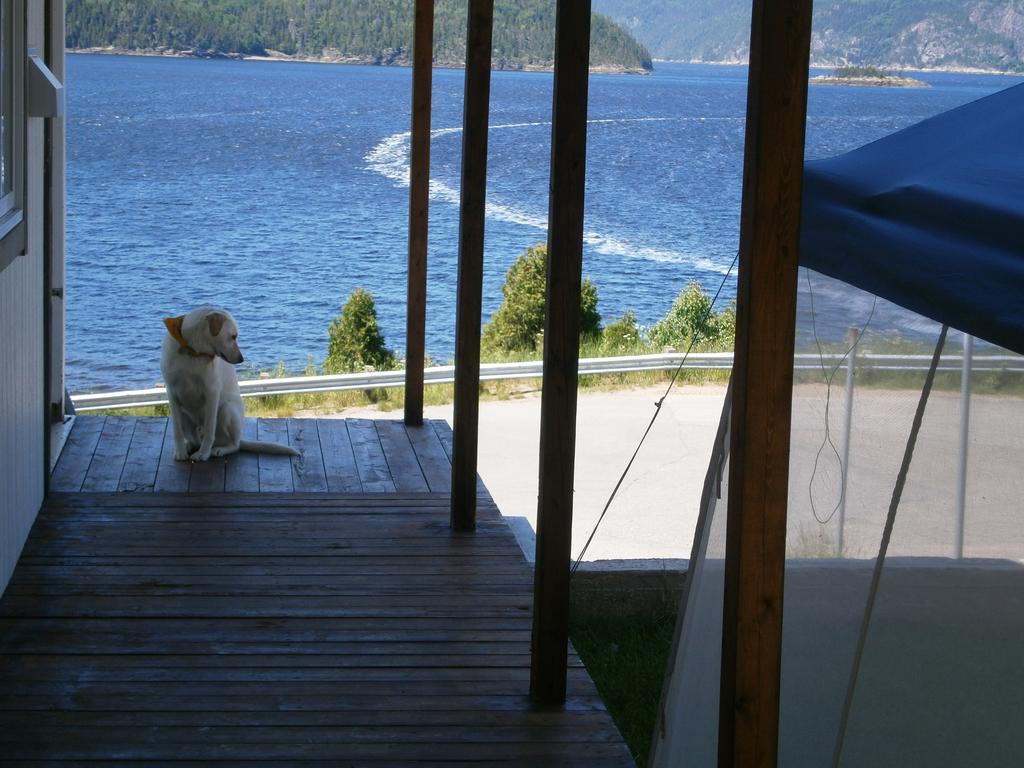 Apartement Mirador Du Fjord LʼAnse-Saint-Jean Exterior foto